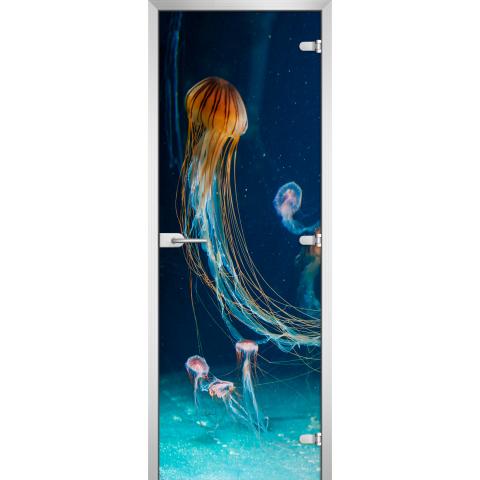 Дверь стеклянная Underwater World-12